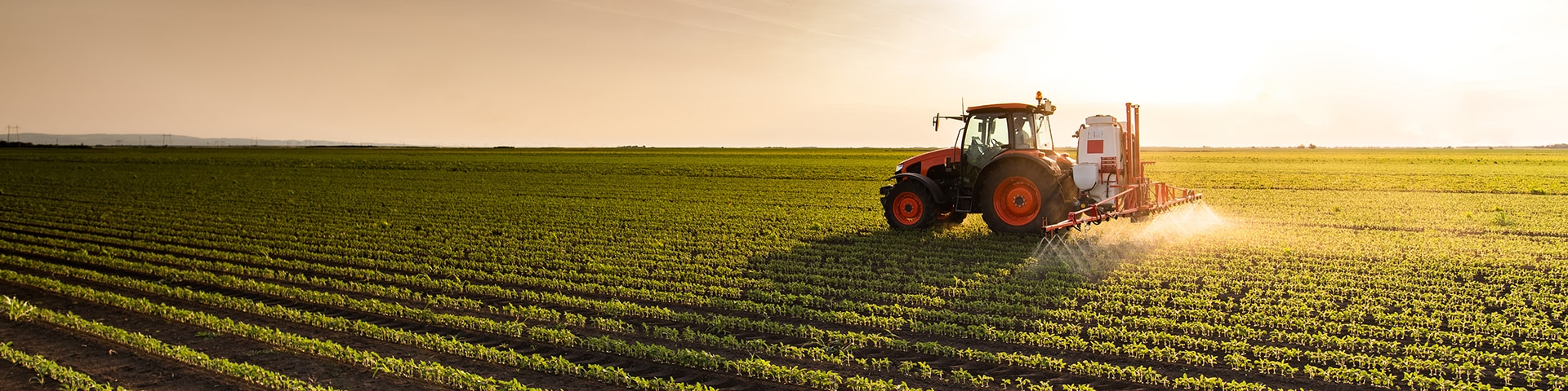 Farm Insurance by Alfa Insurance and The Bob Corning Agency